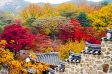 [날씨 브리핑] 새벽에 잠깐 내린 첫눈···작년보다 9일 빨랐다