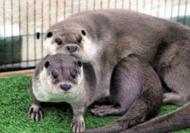 [한 컷] 새 고향에서 잘 살아