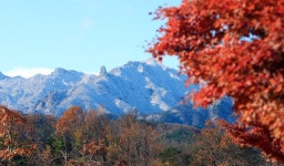 [서소문사진관]가을과 겨울 사이, 이맘때만 볼 수 있는 비현실적 풍경들