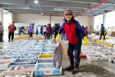 “도루묵이 풍년이래요” 펄떡이는 겨울 바다를 맛보다