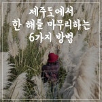 [카드뉴스] 제주도에서 한 해를 마무리하는 6가지 방법