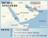 [단독] 정부, 내년 2월 호르무즈 해협에 청해부대 파병한다