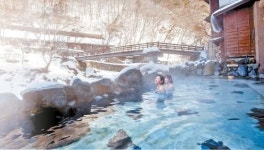 [라이프 트렌드] 몸과 마음이 힐링 원할 때, 숲속 아담한 온천 숙소서 하룻밤