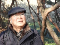 방치된 서울 남산 숲…못생긴 소나무조차도 점점 사라져