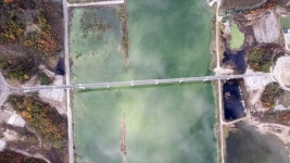 멸종위기종 수달, 영주댐 밑 대성천에 살고 있었네