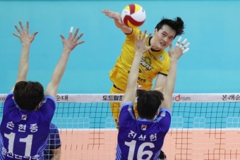 프로배구 KB손해보험, 선두 대한항공 잡고 6위 도약
