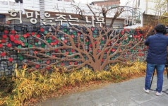 사흘 잠복해 35초만에 훔쳤다, CCTV에 찍힌 ‘전주 성금도둑’