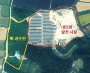 친환경 태양광 들어오고 배나무 죽었다 과수원 주인의 눈물