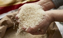 고용주 먹는 음식에 침·소변 섞은 인니 가정부…돈 훔치기도