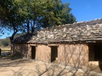 관광객 유치에 효자노릇 톡톡…울릉일주도로 달려보니