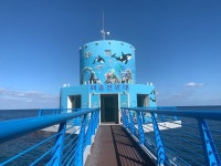 관광객 유치에 효자노릇 톡톡…울릉일주도로 달려보니