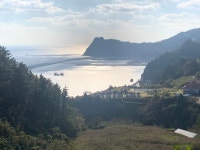 관광객 유치에 효자노릇 톡톡…울릉일주도로 달려보니