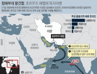 [속보]한국, 호르무즈 파병한다...청해부대 작전지역 한시적 확대