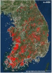 태양광 발전이라도 숲 훼손땐···석탄화력보다 환경 더 망친다