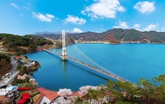 방문객 19만→300만명···‘예당호의 기적’ 만든 출렁다리