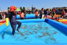 오는 봄도 막는다...코로나 바이러스에 자치단체 축제 비상