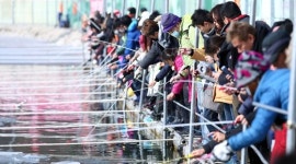 환경장관 산천어 축제 해야 되나 화천군수 어류 안 먹나