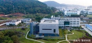 사망 1000명 넘었는데…코로나는 사스 의심받는 中전문가 수준