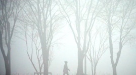 [한 컷] 꿈속 같은 풍경