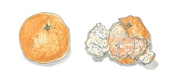 [소년중앙] 황경택 쌤과 자연이랑 놀자 24.실내 놀이