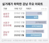 급매물 수억씩 뚝뚝…강남 집값 흔들리나