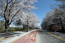 코로나 비극적 전망···여름 와도 바이러스 확산 계속될 것