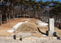[더오래]붙잡혀 총살 당할 뻔 율곡 종손의 목숨 건 월남