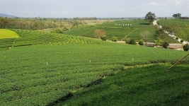 [더오래]평생 목에 링을 끼고 사는 롱넥마을 여인들