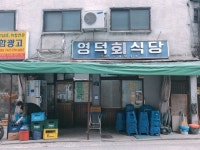 [아재의 식당] 마약 초장에 비벼먹는 막회의 맛 영덕회식당