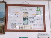 [아재의 식당] 마약 초장에 비벼먹는 막회의 맛 영덕회식당