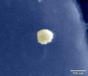 3시간이라더니···에어로졸서 16시간 지나도 코로나 꿈틀댔다