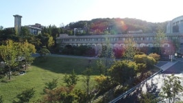 서울신학대학교, 전체 재학생 코로나19 특별장학금 10만원 지급