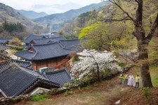 녹음 짙은 산사에서 하룻밤, 코로나 우울증이 싹~