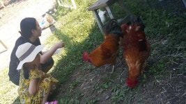 [더오래] 난 엄마 가슴에서 태어났죠? 은지가 물었을 때…