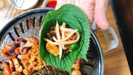 [아재의 식당] 봄철이 아니어도 좋다, 서울 제일 ‘삼오쭈꾸미’