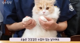 충남대, 동물학대 의혹 수의대생 갑수목장 진상조사 나선다