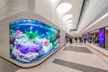 [포토클립] 이게 터미널이야, 백화점이야