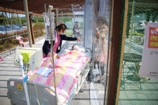 방호복 입고 뵙고싶다…요양병원 면회금지에 애타는 효심