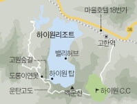 국내 최대 데이지 군락…해발 1300m 스키장은 꽃소금을 뿌린듯했다