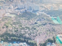 555억 못내면 일몰제…시민쉼터 화지공원 지킨 부산의 지혜