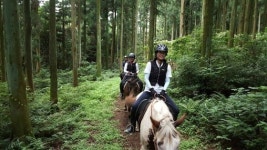 바캉스도 허니문도 다시 제주, 이번에 어디서 놀까?