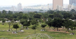 “2035년 휘발유ㆍ경유차 등록금지”…박원순 ‘서울형 그린뉴딜’ 선언