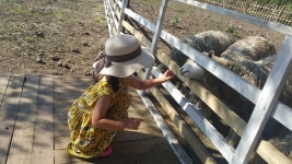 [더오래]사랑, 은지가 자장면 먹고 싶다 할 때 같이 먹는 것