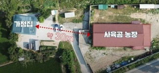옆집에 반달가슴곰 85마리가 이사 왔다…곰도 사람도 괴롭다