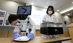 서울 수돗물에 유충 없다…신고 73건 모두 배수구가 원인