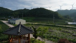 밤마다 윙윙···시골마을 둘로 쪼갠 풍력발전 저주파의 진실