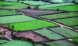 제주올레 걷기축제 강행…무모하다고? 그들은 묘수 찾았다