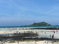 그 섬에서 4조원어치 긁었다...