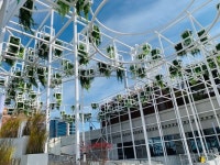 고(故) 손기정 유품 품은 체육공원 재개장…서울역 주차장은 공중정원 재탄생