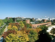 광명 하안동 상수도관 파열, 4만가구 내일 새벽 3시까지 단수